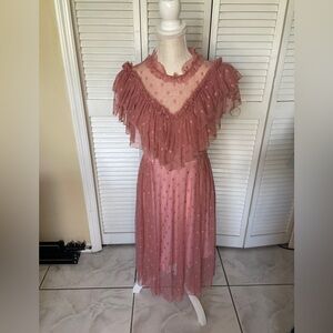 Wax Poetic Dolly Dress in Dusty Rose Mesh